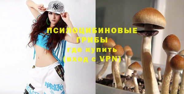 героин Бикин