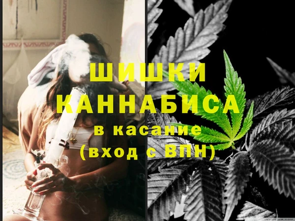 хмурый Бородино
