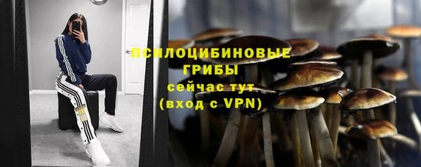 мдпв Бронницы