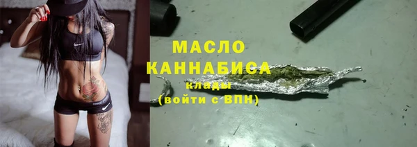 мдпв Богородицк